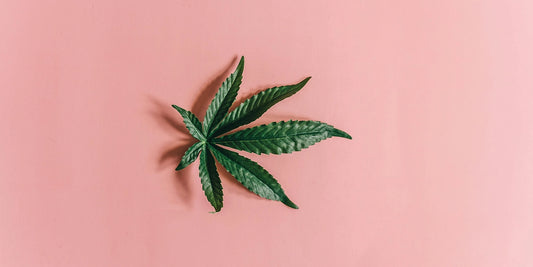 Was ist Cannabidiol (CBD)?